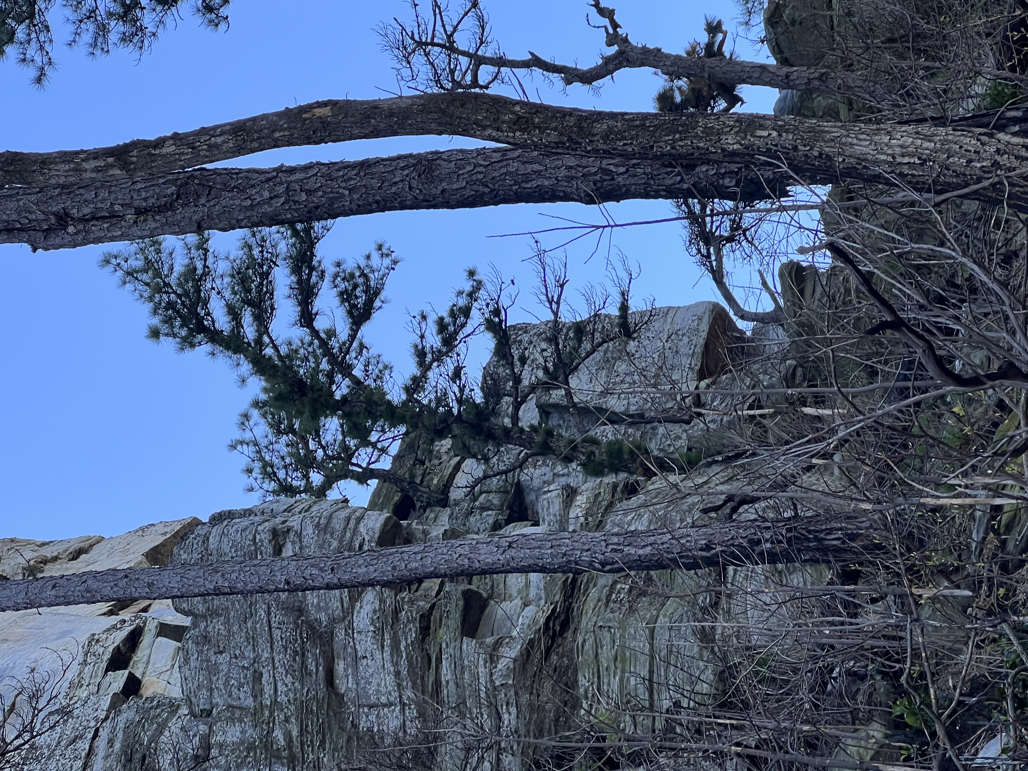 ./2023/05 - Toni Adventures/IMG_2989.JPG